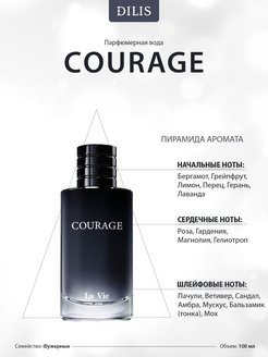 Парфюмерная вода для мужчин «Courage» (Кураж) 100 мл