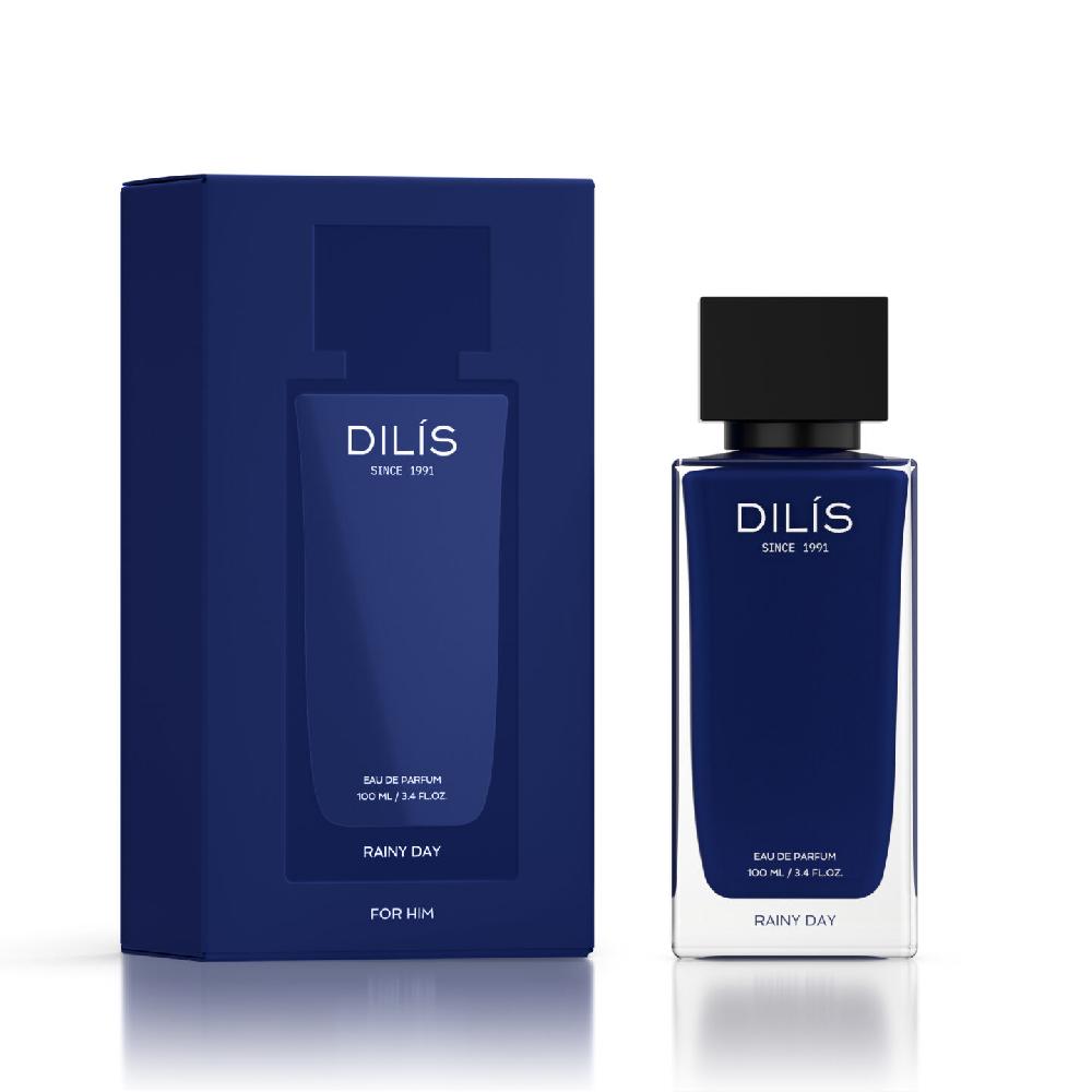 Dilis Rainy Day парфюмерная вода мужская 100мл