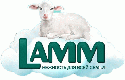 Lamm